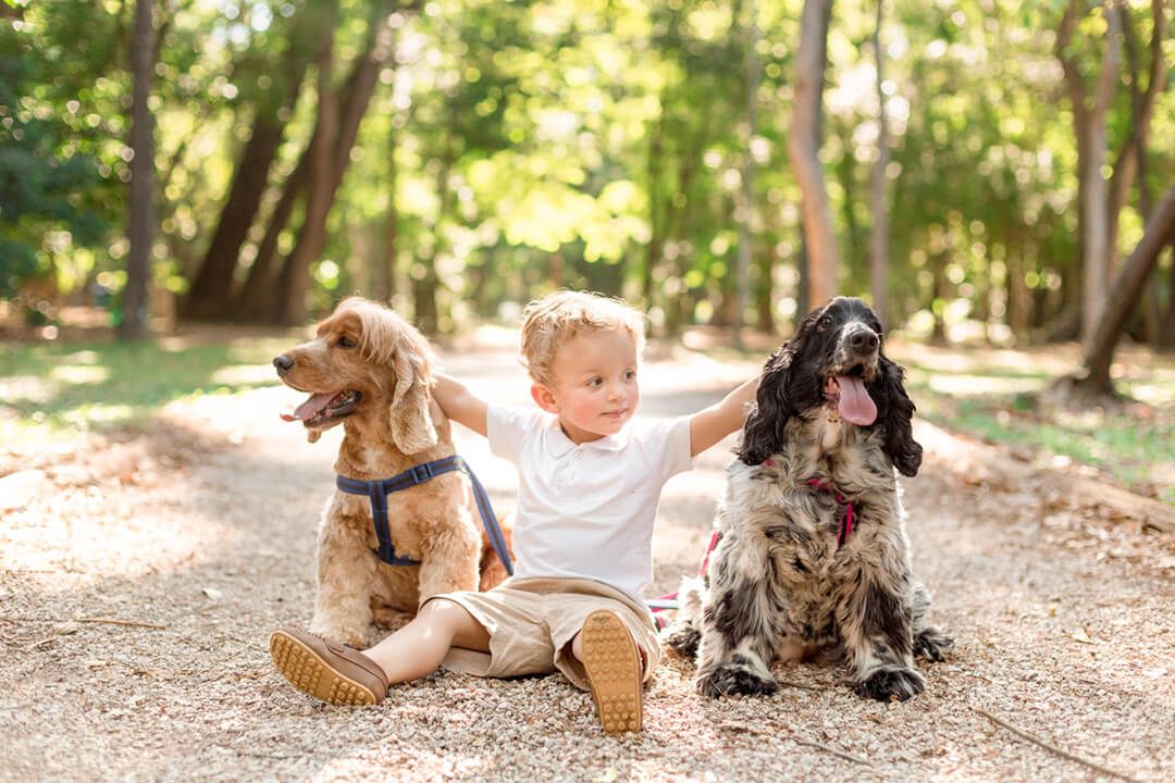 Ensaio fotográfico familiar - Fotografia por Pâmela Wille