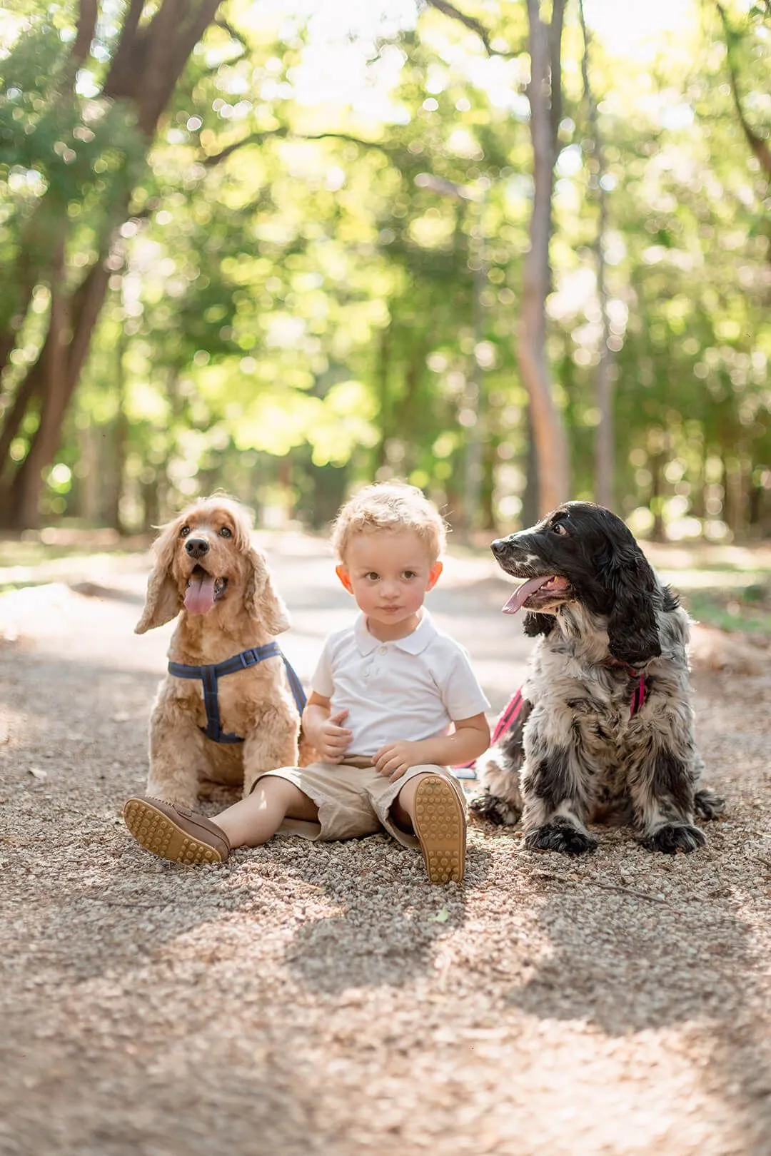 Ensaio de crianças e pais - Pâmela Wille
